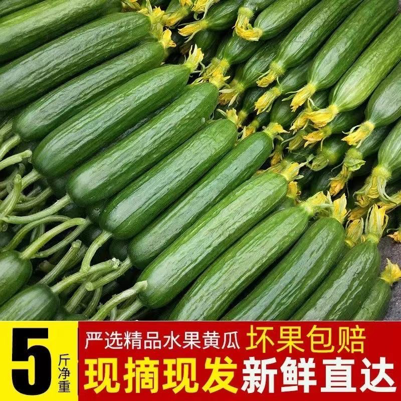 （一件代发）荷兰小黄瓜电商平台对接美团多多供应仓落地！！