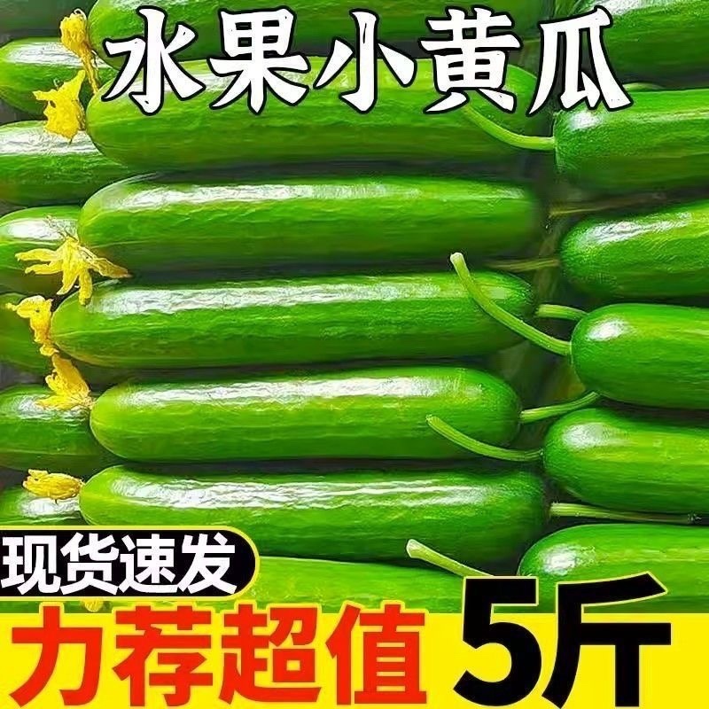 （一件代发）荷兰小黄瓜电商平台对接美团多多供应仓落地！！