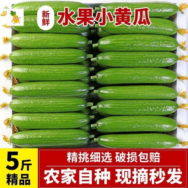 （一件代发）荷兰小黄瓜电商平台对接美团多多供应仓落地！！
