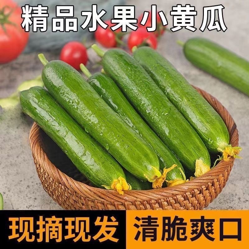 （一件代发）荷兰小黄瓜电商平台对接美团多多供应仓落地！！