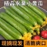 （一件代发）荷兰小黄瓜电商平台对接美团多多供应仓落地！！