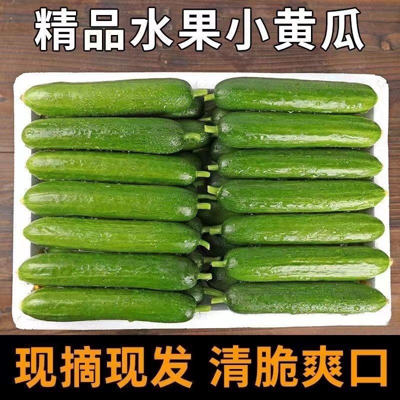 （一件代发）荷兰小黄瓜电商平台对接美团多多供应仓落地！！