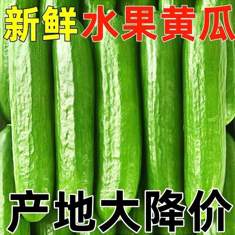 （一件代发）荷兰小黄瓜电商平台对接美团多多供应仓落地！！