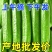 （一件代发）荷兰小黄瓜电商平台对接美团多多供应仓落地！！