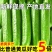 （一件代发）荷兰小黄瓜电商平台对接美团多多供应仓落地！！