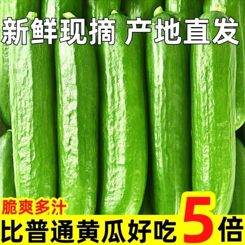 （一件代发）荷兰小黄瓜电商平台对接美团多多供应仓落地！！