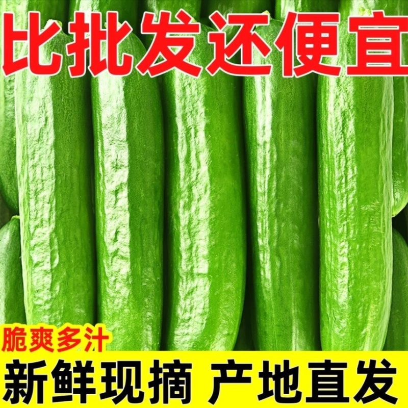 （一件代发）荷兰小黄瓜电商平台对接美团多多供应仓落地！！