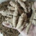 巴戟天特级，大肉，中肉，任君选择产地新货