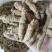 巴戟天特级，大肉，中肉，任君选择产地新货