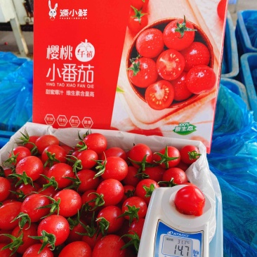 广东−电白千禧.1号珍珠小果，产地直供，社区，商超。