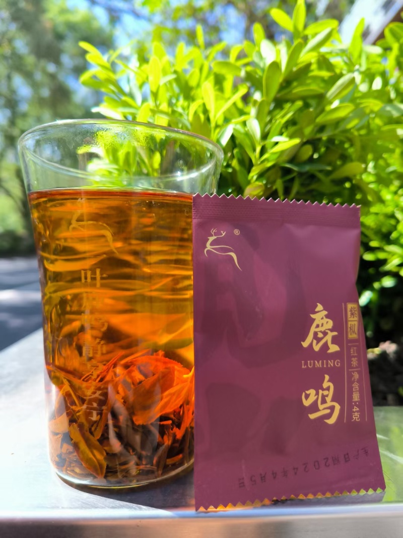 鹿鸣紫枞50克袋装四川宜宾珙县清明前特级高山云雾茶