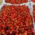 河南中华西阳红小樱桃，果面鲜红，口感甜无酸味，耐储运。