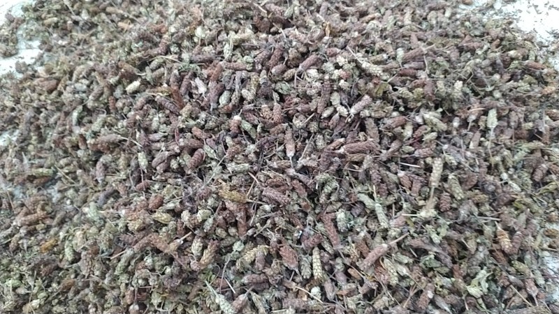 贵州铜仁野生无硫药材夏枯球干货夏枯草干品无杂质产地直发