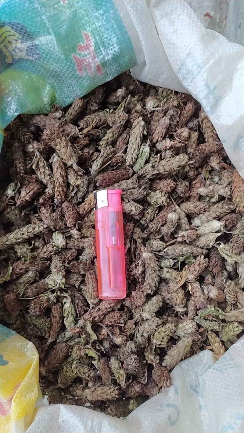 贵州铜仁野生无硫药材夏枯球干货夏枯草干品无杂质产地直发