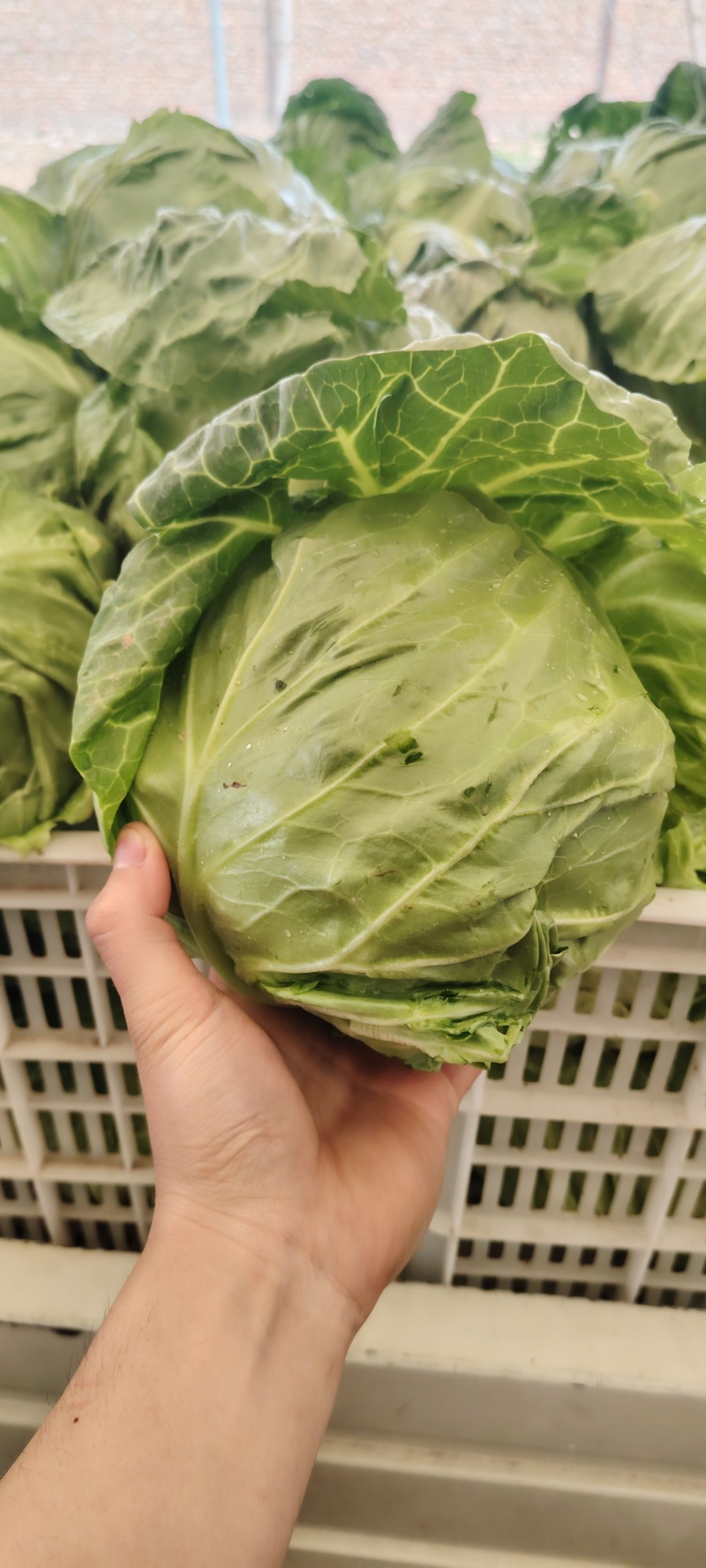 量大，价低。
