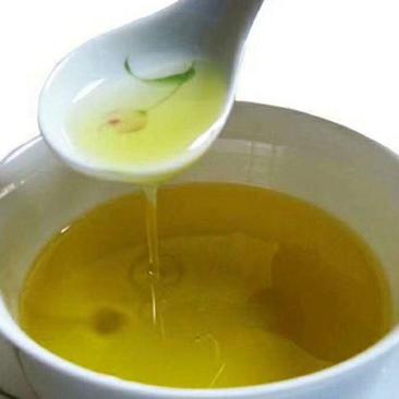 老品种山茶油一手货源价格优惠可发全国欢迎咨询
