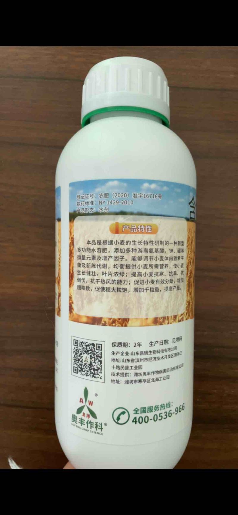 麦黄金麦稻堡籽粒饱满抗倒伏增粒重茎秆粗壮抗寒抗旱