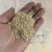 筛糠稻壳粉广西柳州玉林桂林南宁钦州崇左养殖畜牧