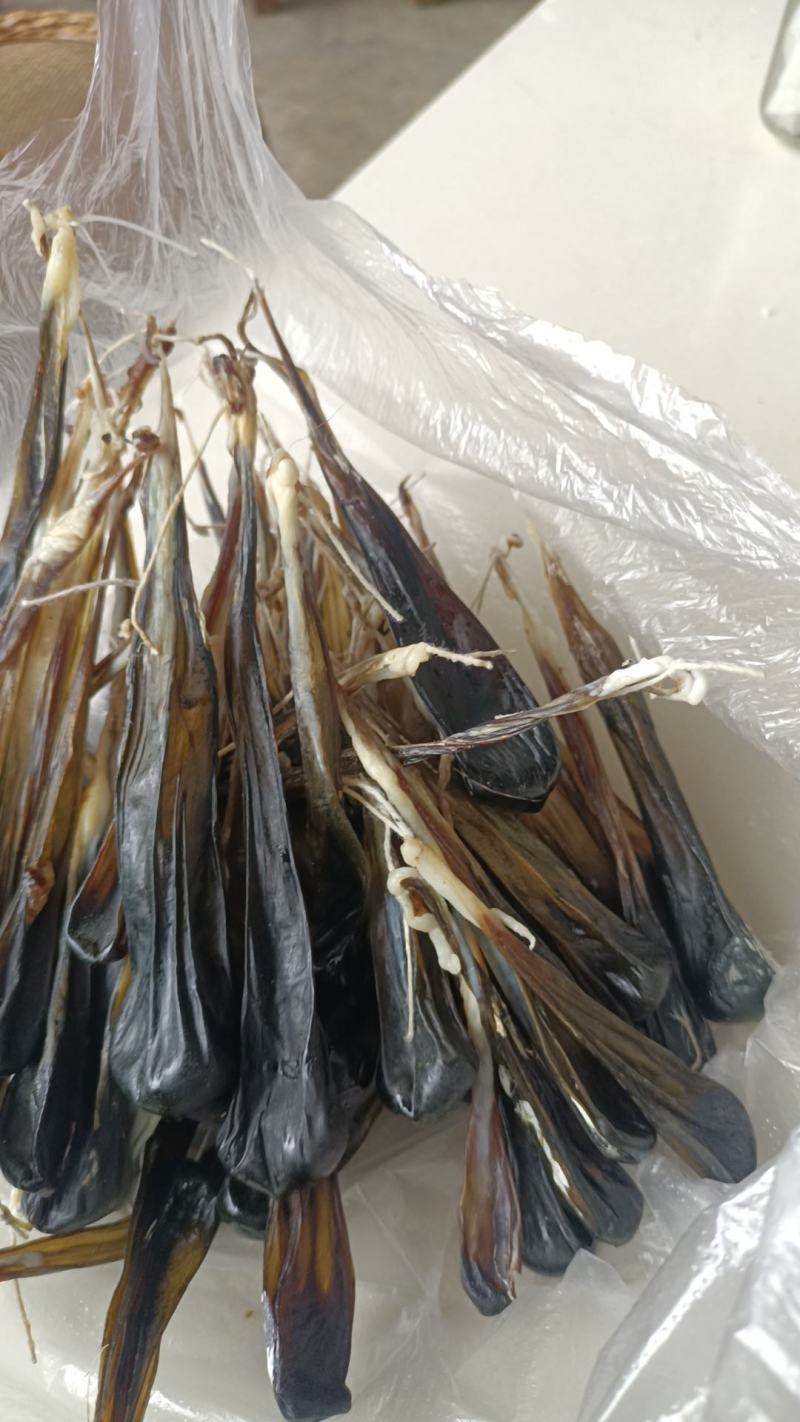 羊胆、干