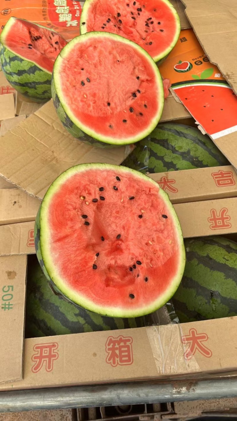 云南甜王西瓜，无籽麒麟美都西瓜甜度高，档口，商超，电商