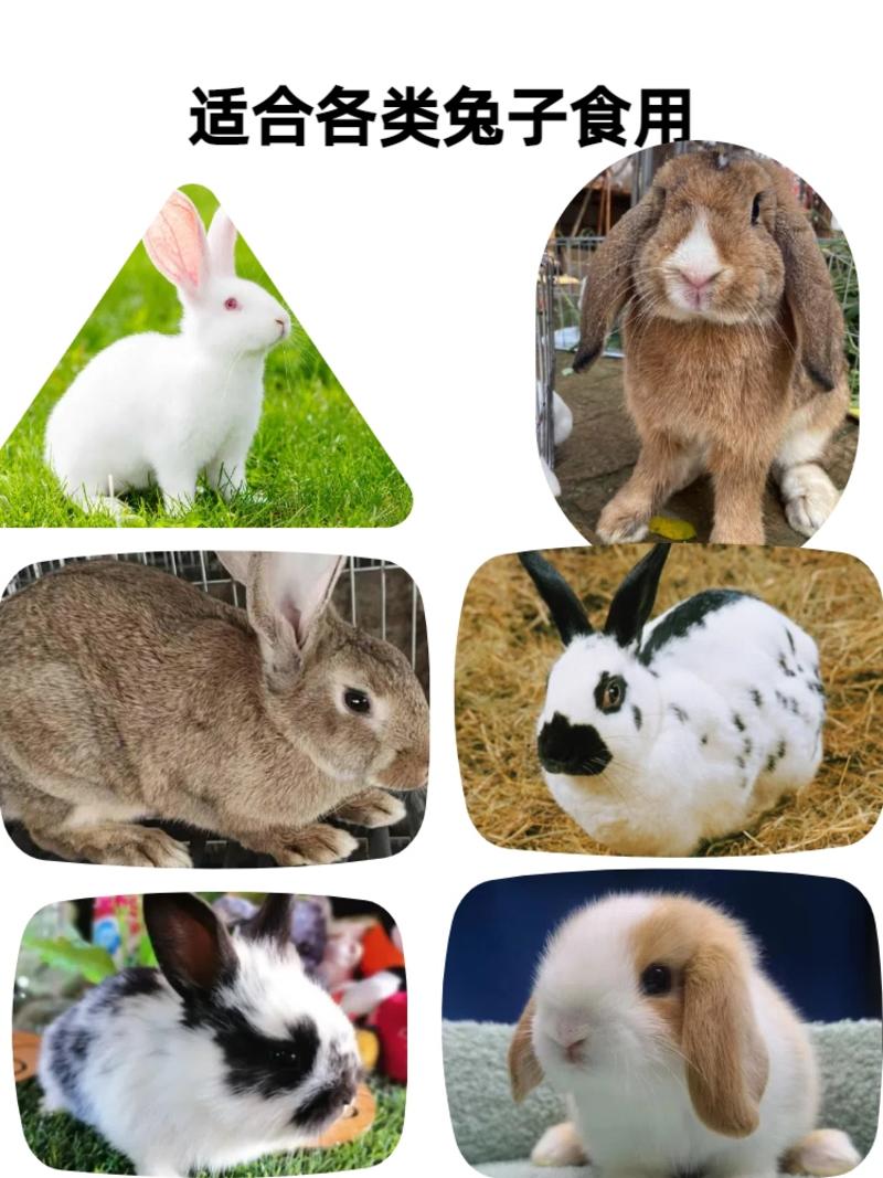 育肥兔饲料养殖场专用饲料肉兔饲宠物兔饲料