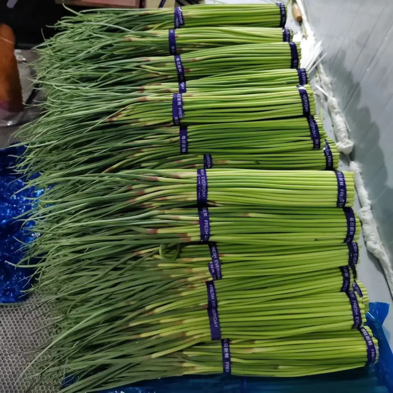 开封红帽蒜薹产地直发一手货源交通便利电商市场商超