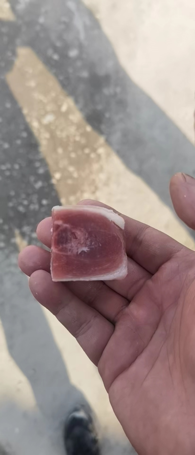三黄鸡黄焖块