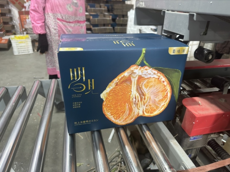 正宗高品质眉山高山明日见柑橘一件代发批发整车物流供应