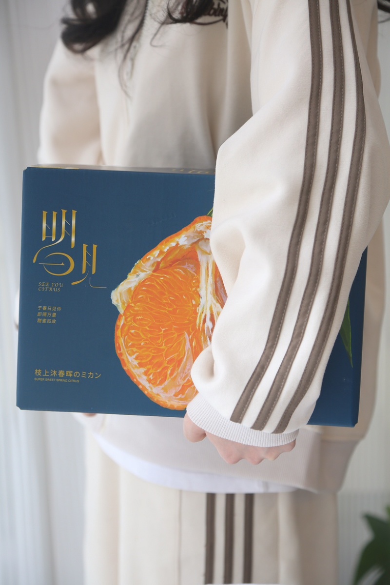 正宗高品质眉山高山明日见柑橘一件代发批发整车物流供应