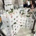 正宗高品质眉山高山明日见柑橘一件代发批发整车物流供应