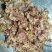 清真手工水饺牛肉白菜牛肉荤香牛肉韭菜