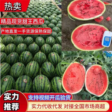 【推荐】甜王西瓜山东昌乐大棚甜王现场采摘保熟包甜