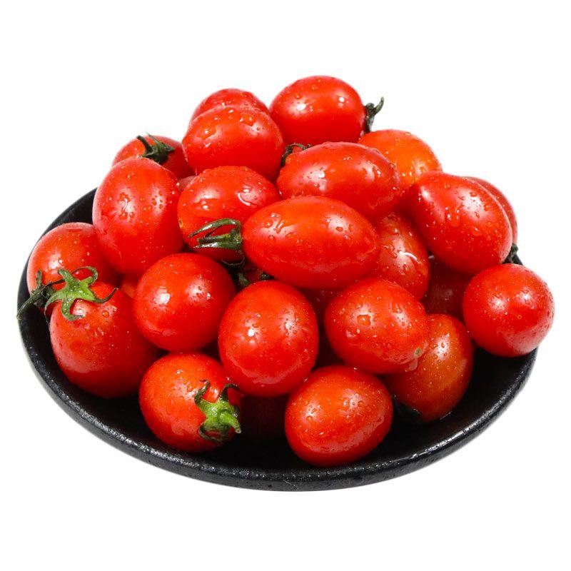 现摘圣女果新鲜红色樱桃小番茄孕妇水果非千禧西红柿蔬菜整箱