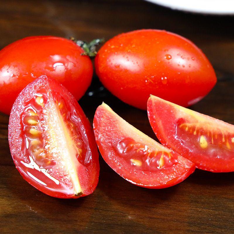 现摘圣女果新鲜红色樱桃小番茄孕妇水果非千禧西红柿蔬菜整箱