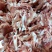 品名：脆骨肉规格:20公斤/袋日期：新货