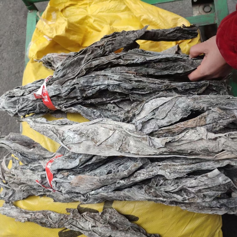 海带头干货批发火锅凉拌食材无沙特厚海带头