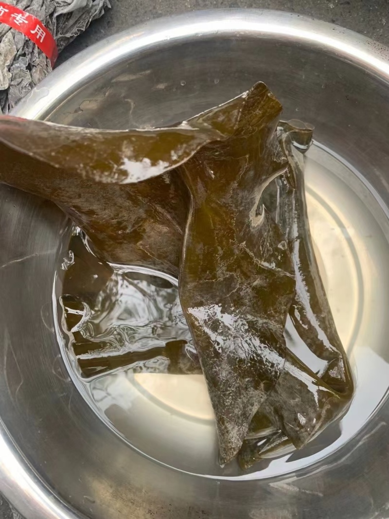 海带头干货批发火锅凉拌食材无沙特厚海带头