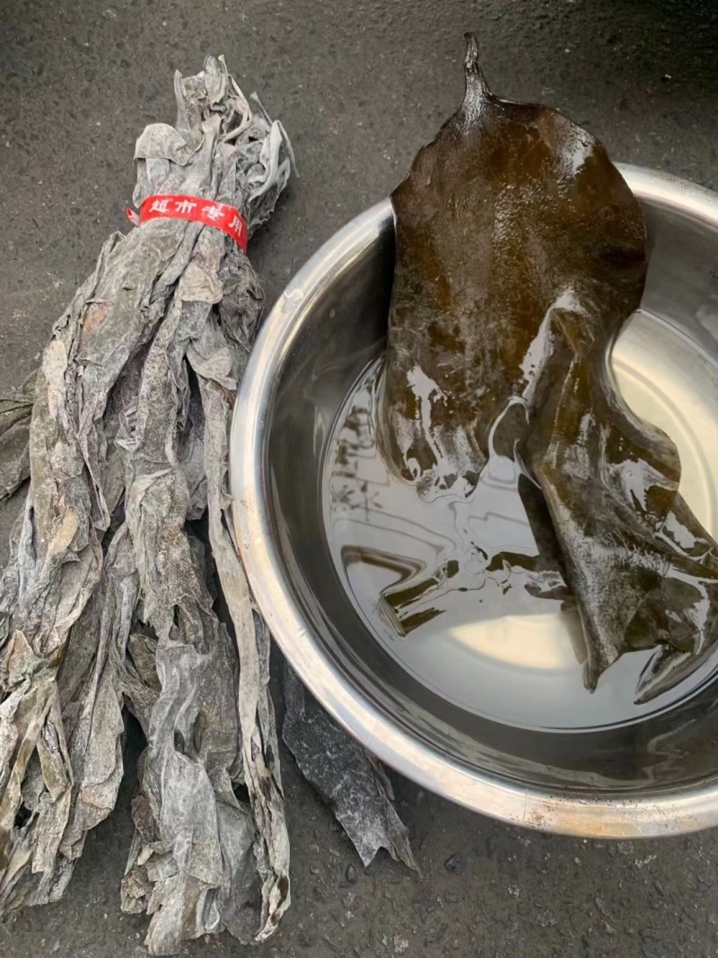 海带头干货批发火锅凉拌食材无沙特厚海带头