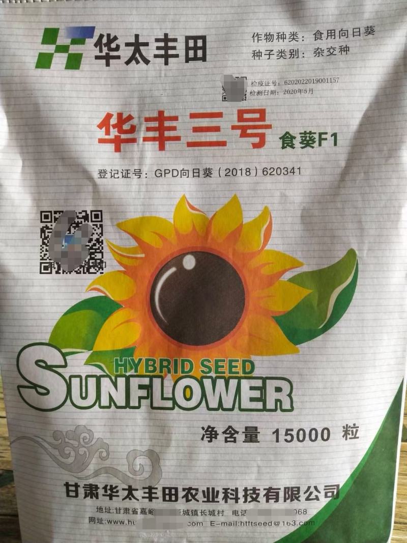 三系杂交向日葵种子大量供应，辽宁沈阳，厂家直发，价格可议