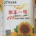 三系杂交向日葵种子大量供应，辽宁沈阳，厂家直发，价格可议