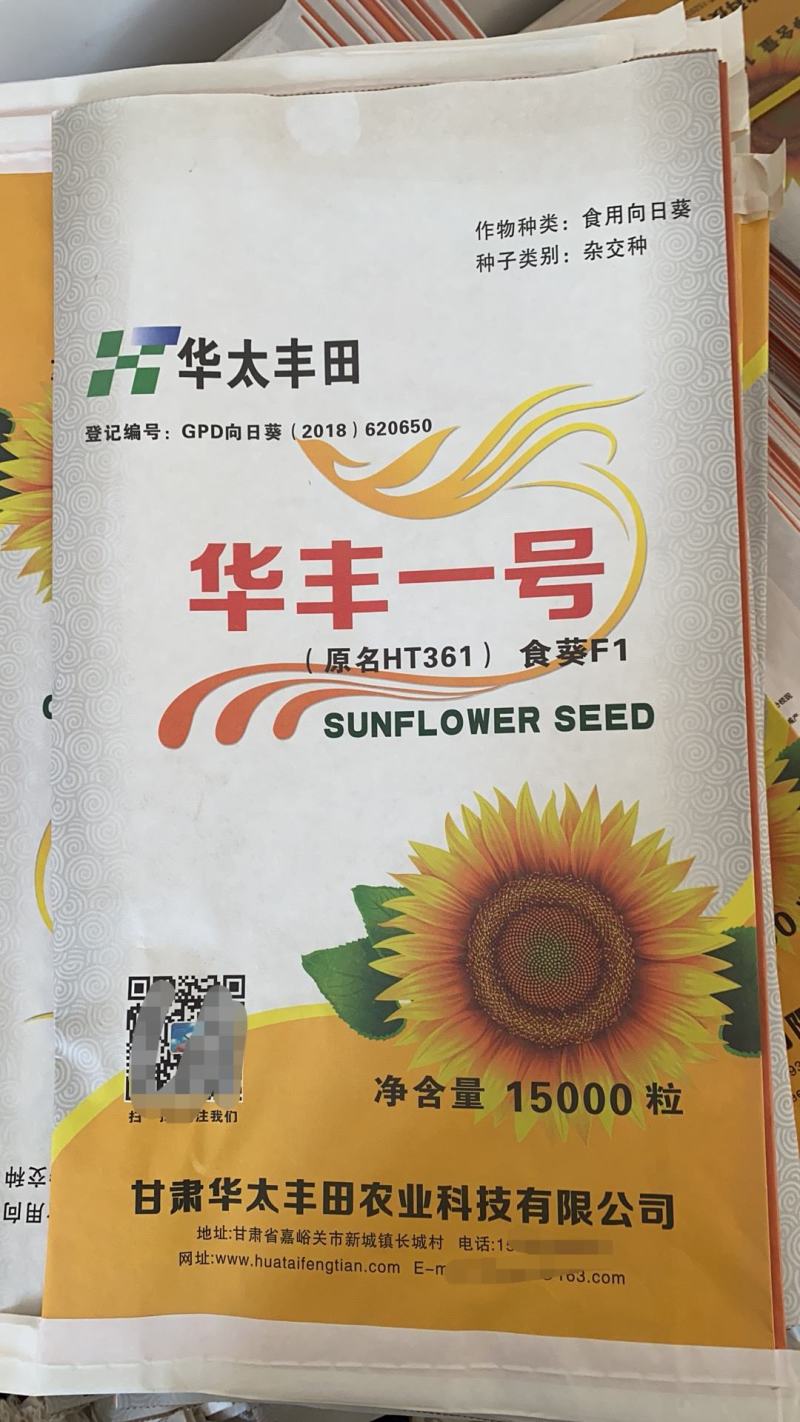 三系杂交向日葵种子大量供应，辽宁沈阳，厂家直发，价格可议
