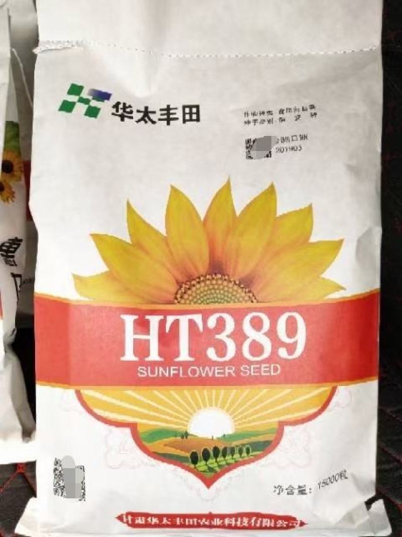 包邮，三系杂交向日葵种子大量供应，厂家直发，量大从优