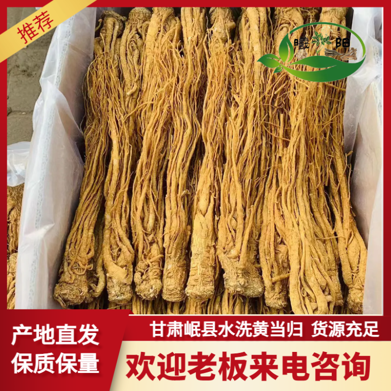 【优选岷县水洗黄当归】保质保量产地直发假一赔十