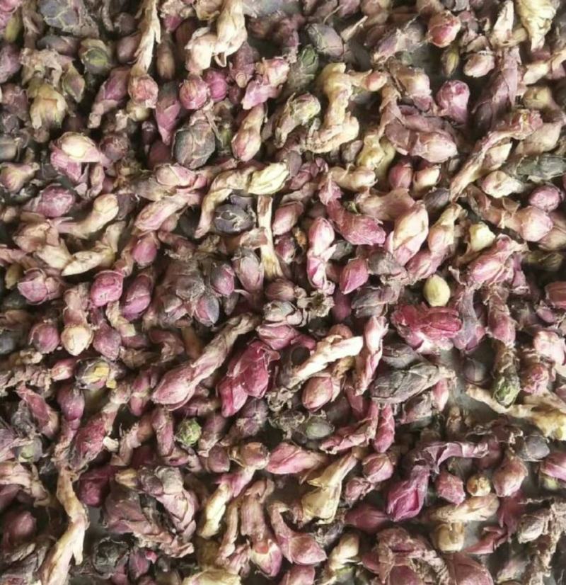 优质款冬花种根种苗，高产抗病品种，现挖鲜根，诚信商家