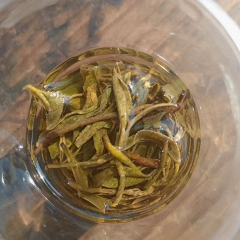 高山苦茶