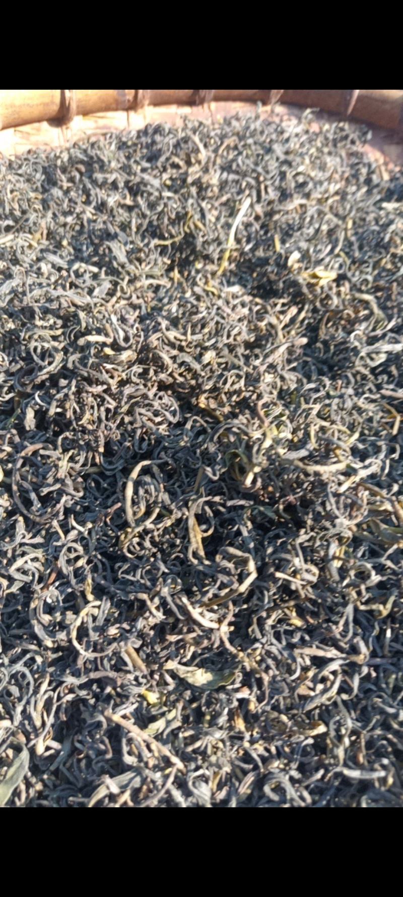 高山苦茶