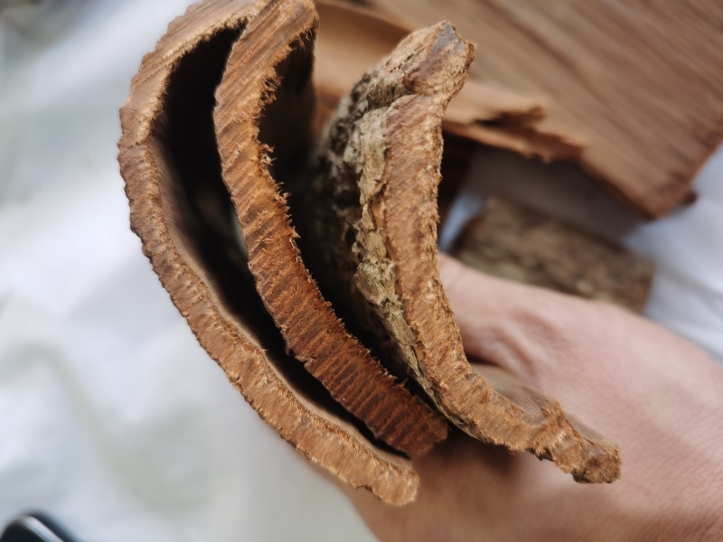 卡宾达老树皮野生卡宾达树皮泽润中药各种规格中药材