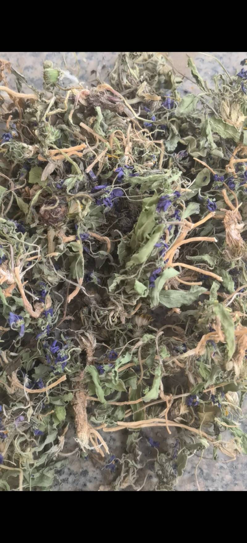 紫花地丁，新货，关书药业批发中药材………