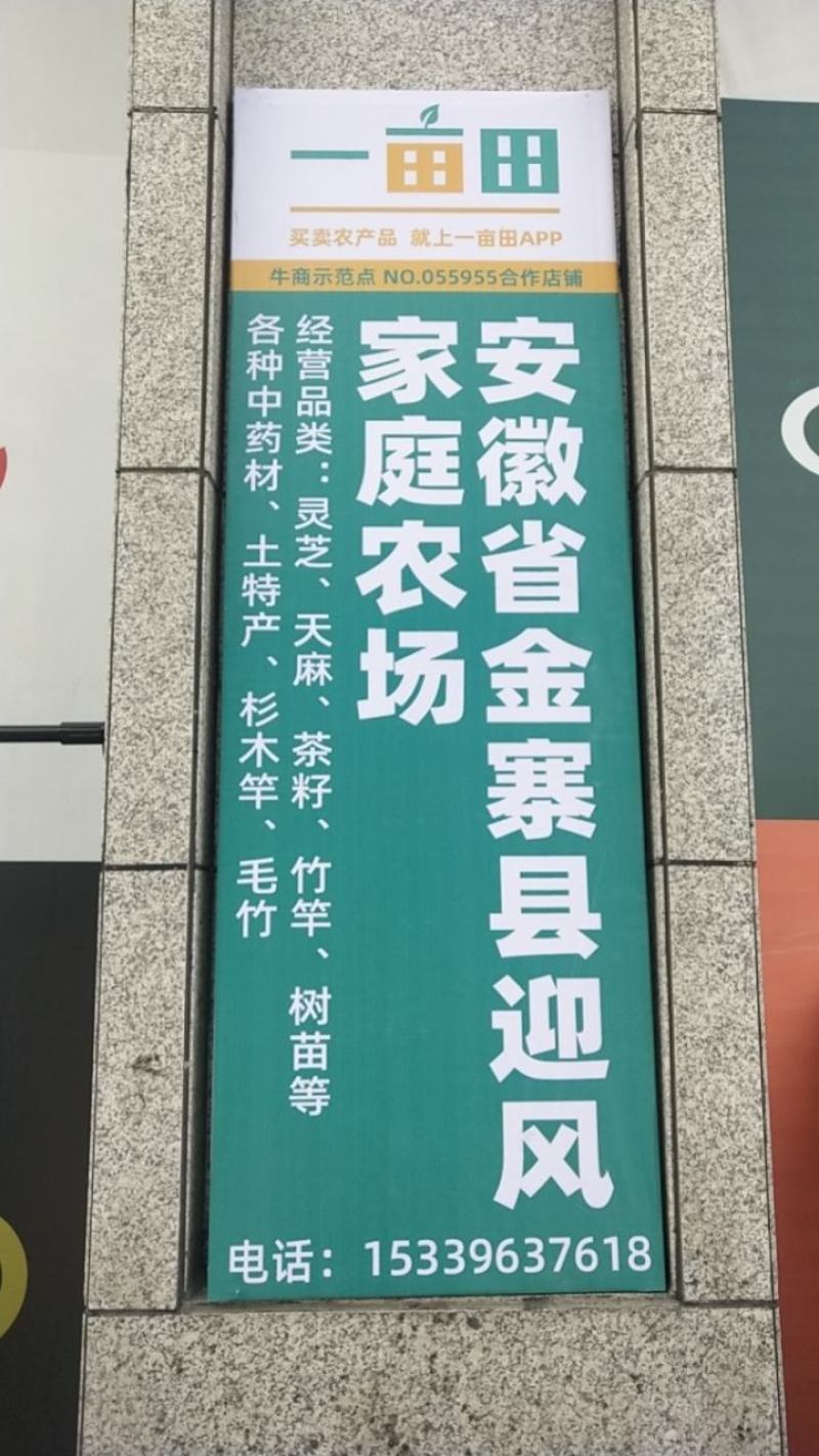 笋干精品大别山区金寨特产250g/袋