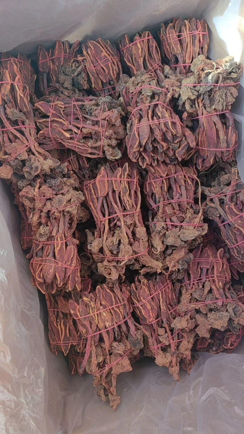 【推荐】云南精品野生回春草不老草可泡酒泡茶货发全国